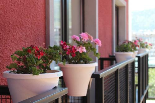 Alliance Hotel