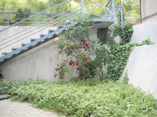 Cosmos Hostel
