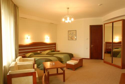 Hotel Vedzisi