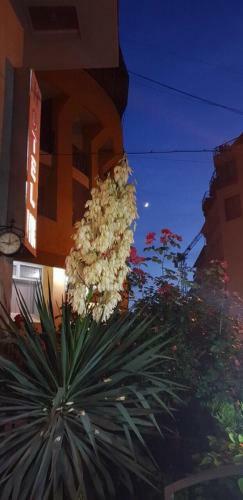 Hotel Vake