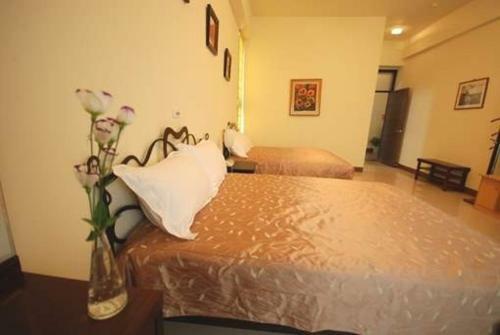 Bed & Breakfast Green Window Homestay