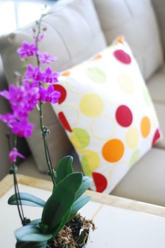 Bed & Breakfast Green Window Homestay