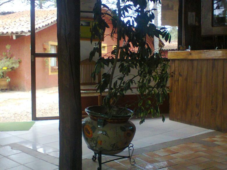 Caba�a Del Patr�n
