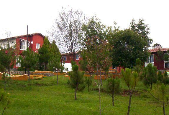 Caba�a Del Patr�n
