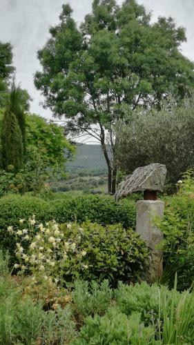 Bed & Breakfast Casa Cholavila