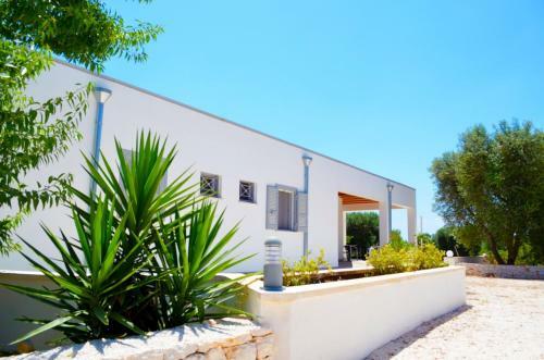 Lem Lem B&B