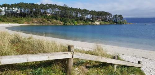 Apartamento La Perla Playa