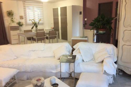 Pres de Nimes, Villa Lamarli, 4/6 Pers, Spa Prive