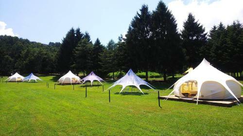 Lotusbellvillage - Vacation Stay 64764v