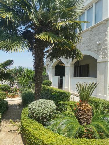 Apartamento Kameni Cvit A2