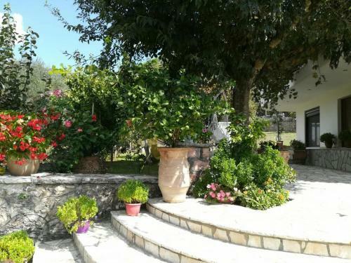 Villa Olive Garden House