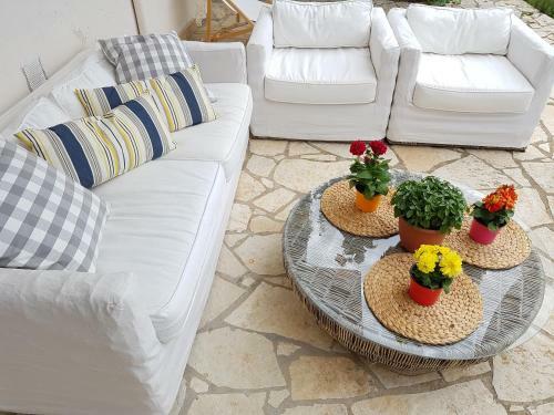 Villa Olive Garden House