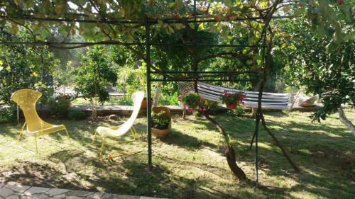 Villa Olive Garden House