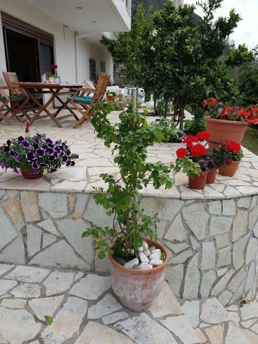 Villa Olive Garden House
