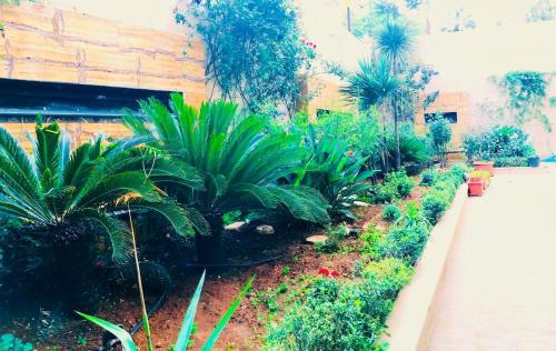 Aparthotel Jad Hotel Suites