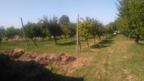 Agroturismo Agriturismo Taglio Del Re