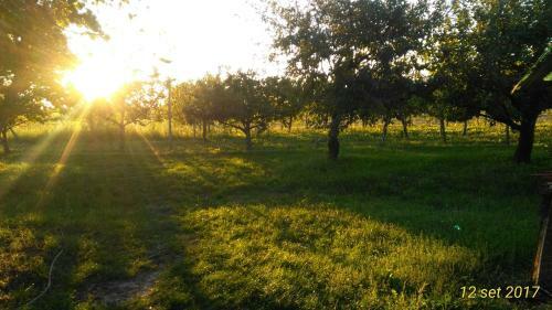 Agroturismo Agriturismo Taglio Del Re