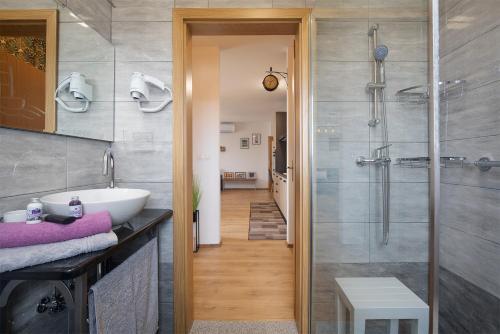 Apartment Little Gallery ****