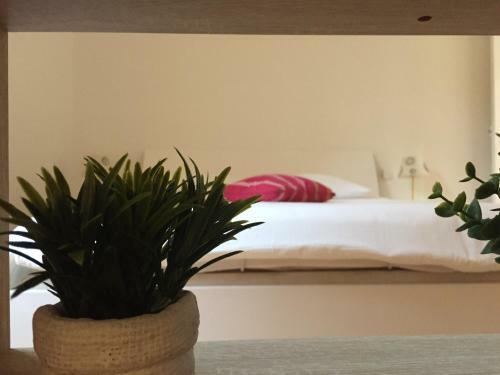 Apartamento Nice Grand Appartement Face Jardin