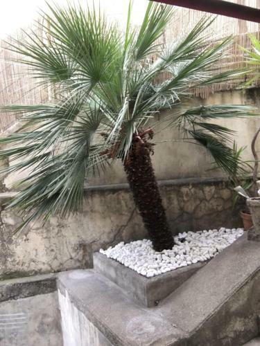 Apartamento Nice Grand Appartement Face Jardin