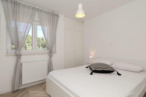 Apartments Ivanov