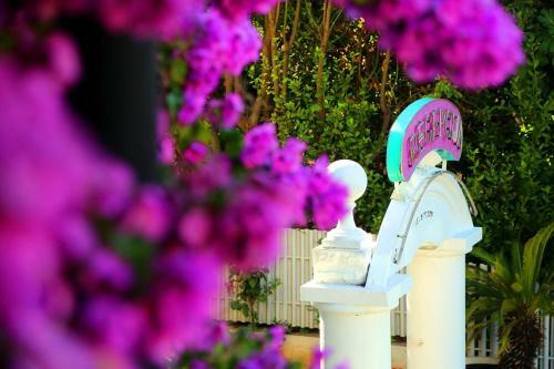 Hostal Twin Room Zadar - Diklo 16023h