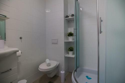 Apartman Reno