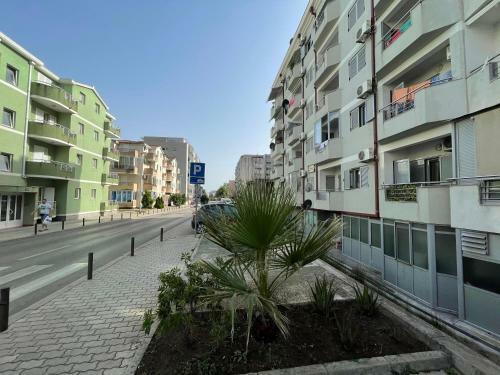 Apartments Zevs