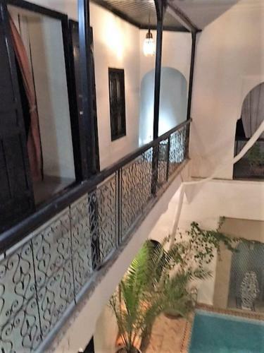 Riad Sasha