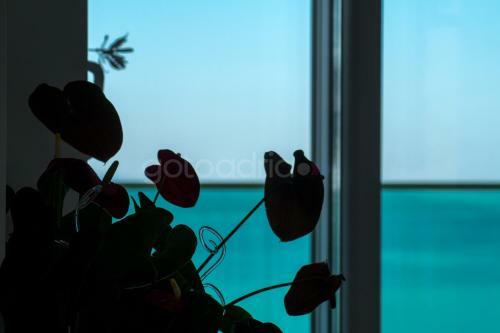 Apartamento Penthouse 'big Blue' With Hot Tub