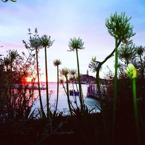 Villa Casa Valeluna Rovinj