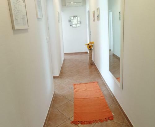 Apartmani Darko