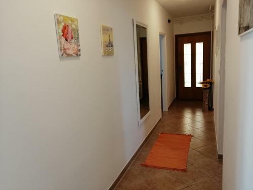 Apartmani Darko