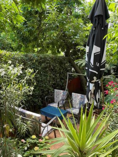 Garden Apartment