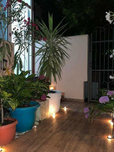 Garden Apartment