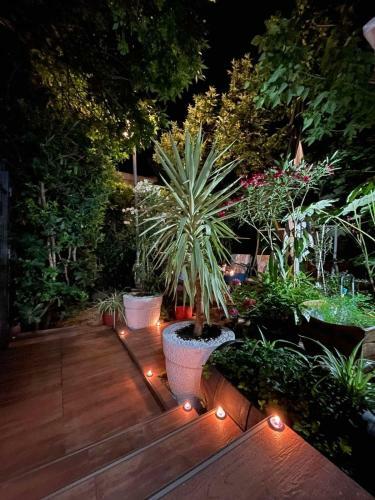 Garden Apartment