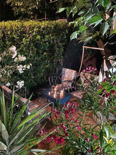 Garden Apartment
