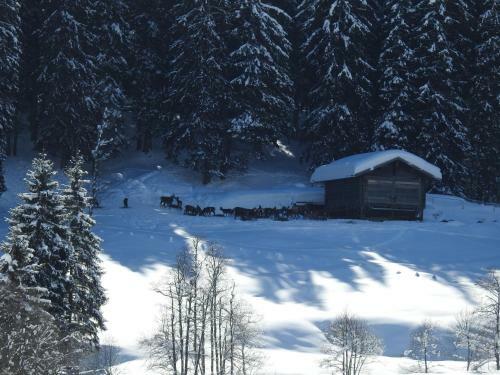Apartamento Blockhaus Ganschitter