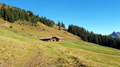 Apartamento Blockhaus Ganschitter