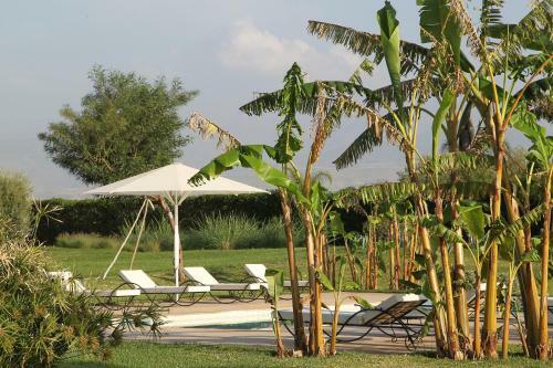 Hostal Dar Kamango