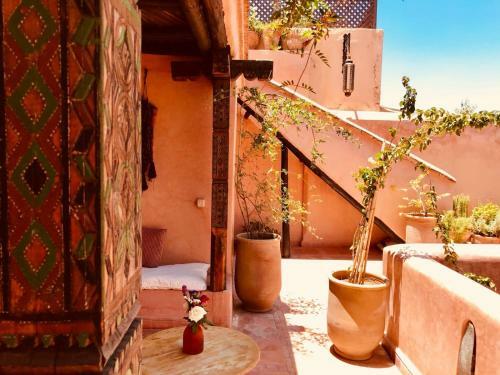 Riad Akl