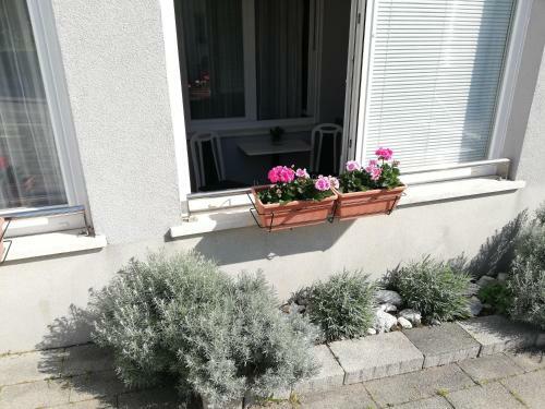 Near Beach Apartment Reno With Private Parking