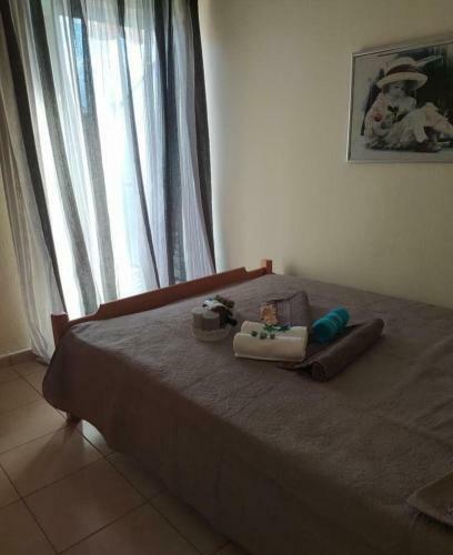 Popi' S Apartment 50 Metres From The Sea!
