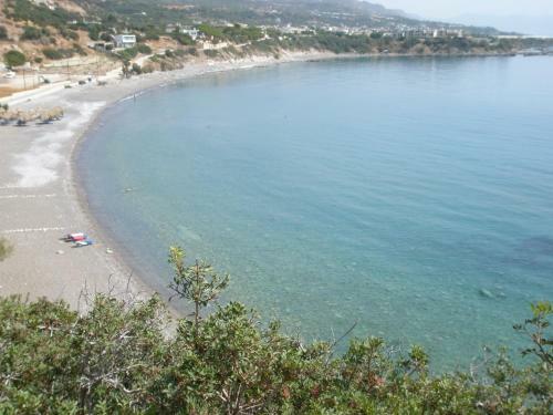 Apartamento Avra Palm