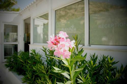 Apartamento Avra Palm