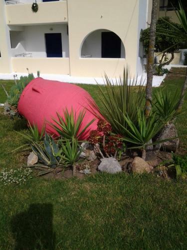 Apartamento Maistrali Studios