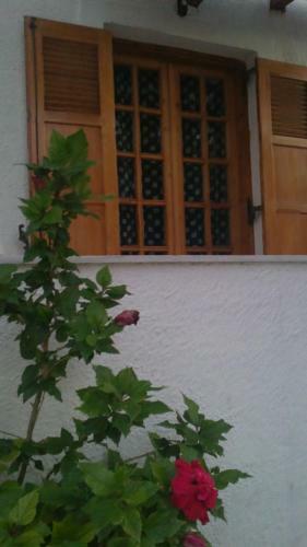 Hostal Pantazis Studios