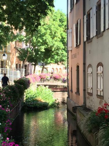 La Maison de Vacances de Colmar Et Son Jardin 4/5p