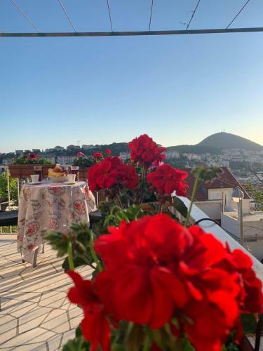 Hostal Dubrovnik Rooms