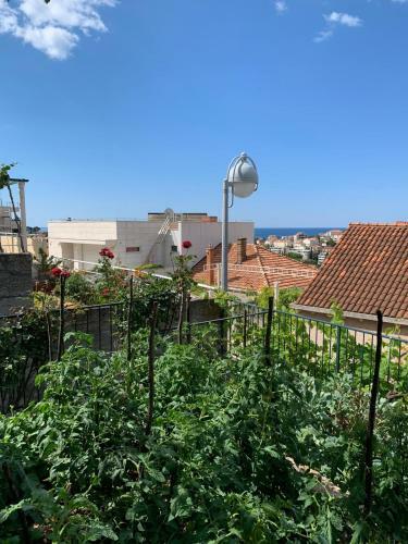 Hostal Dubrovnik Rooms